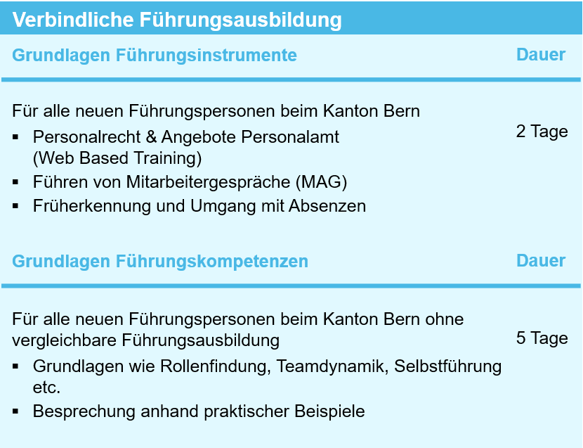 Darstellung verbindliche Führungsausbildung